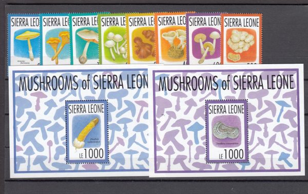 THEMATICS SETS ALL MUSHROOMS $ 41